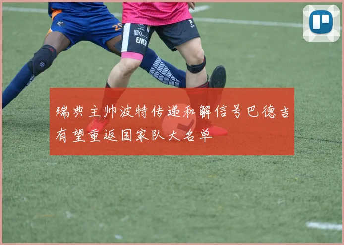 瑞典主帅波特传递和解信号巴德吉有望重返国家队大名单